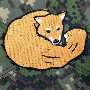ǰ 