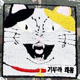 ǰ 