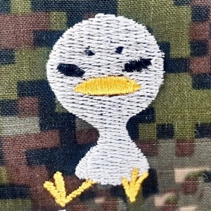 ǰ̹