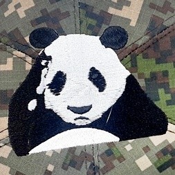 ǰ 