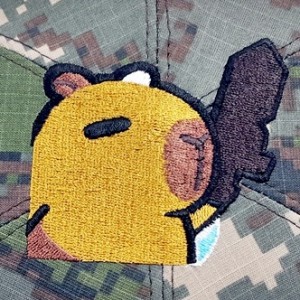 ǰ 