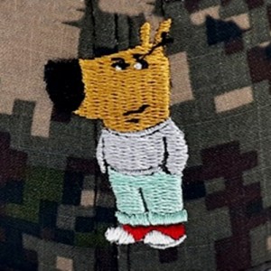 ǰ 