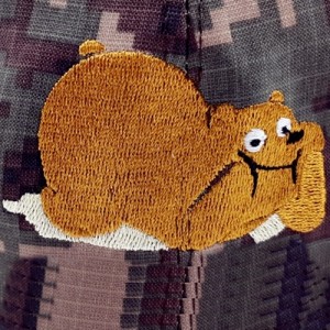 ǰ 