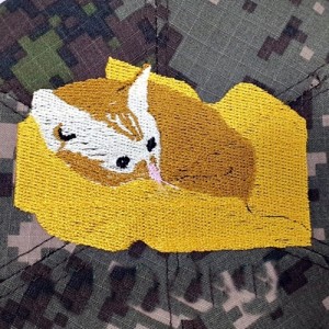 ǰ 