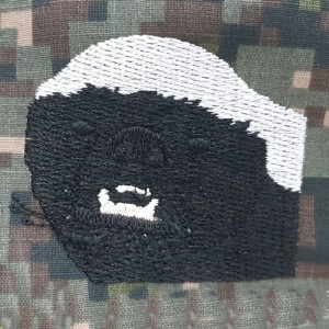 ǰ 
