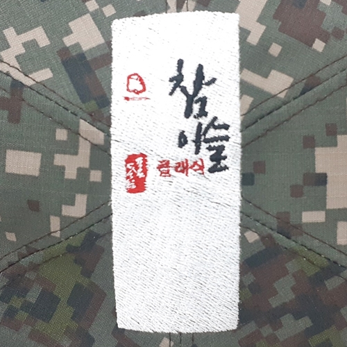 ǰ 