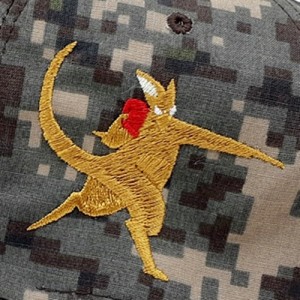 ǰ 