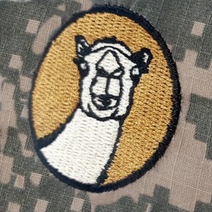 ǰ 