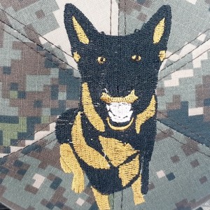 ǰ 
