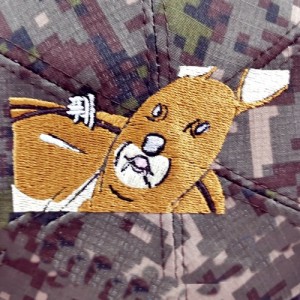 ǰ 