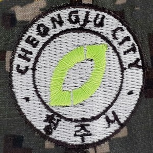 ǰ 