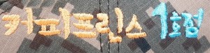 ǰ 