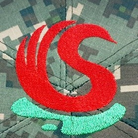 ǰ 