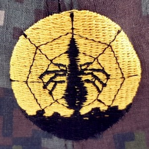 ��ǰ ������