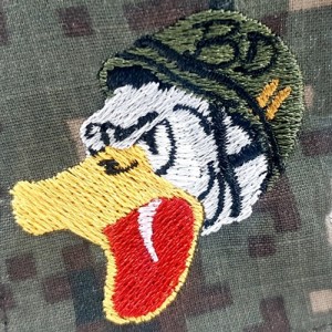 ǰ 