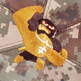 ��ǰ ������