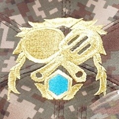 ��ǰ ������