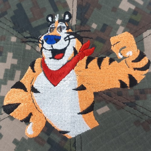 ��ǰ ������