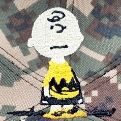 ��ǰ ������