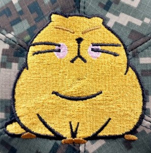 ��ǰ ������