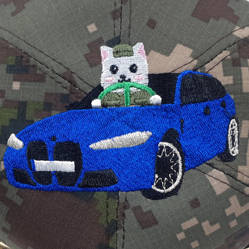 ��ǰ ������