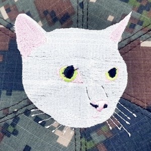 ��ǰ ������