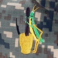 ��ǰ ������