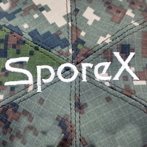 ��ǰ ������